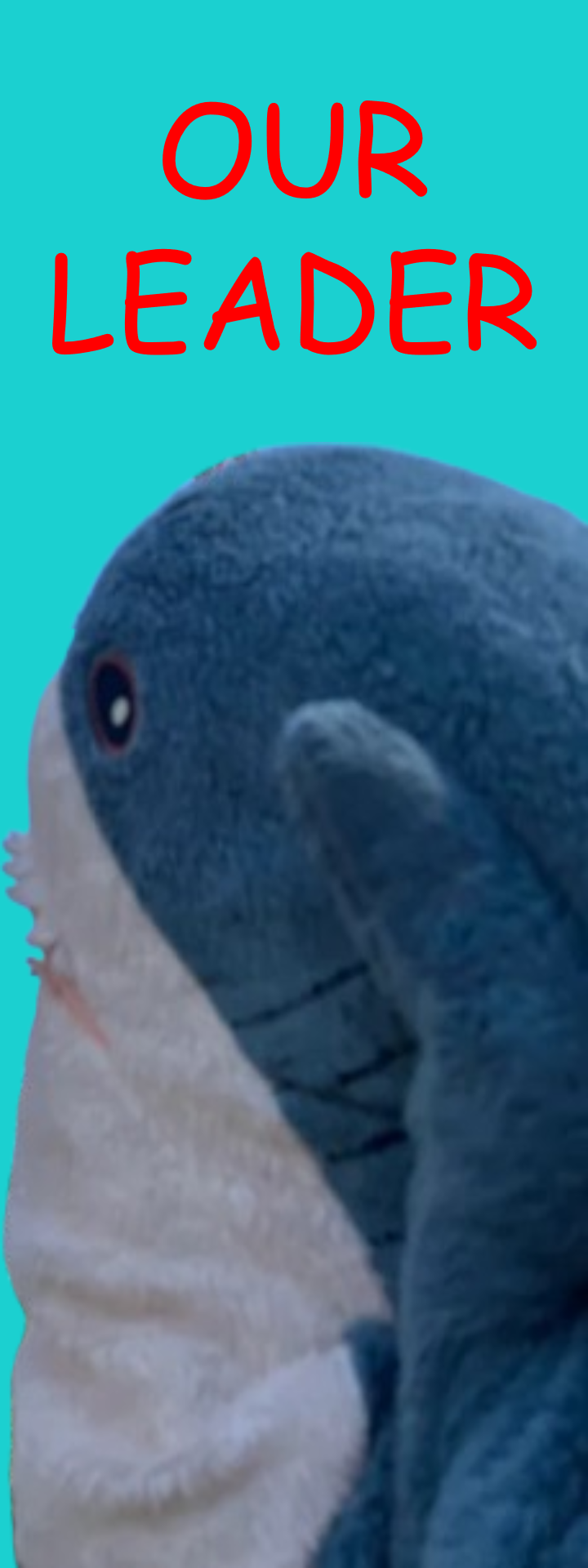 Plush toy shark saluting with the text "OUR LEADER" in red above it.